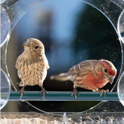 Fenster-Vogelhaus-Futterstation™ Genießen Sie die Natur hautnah!