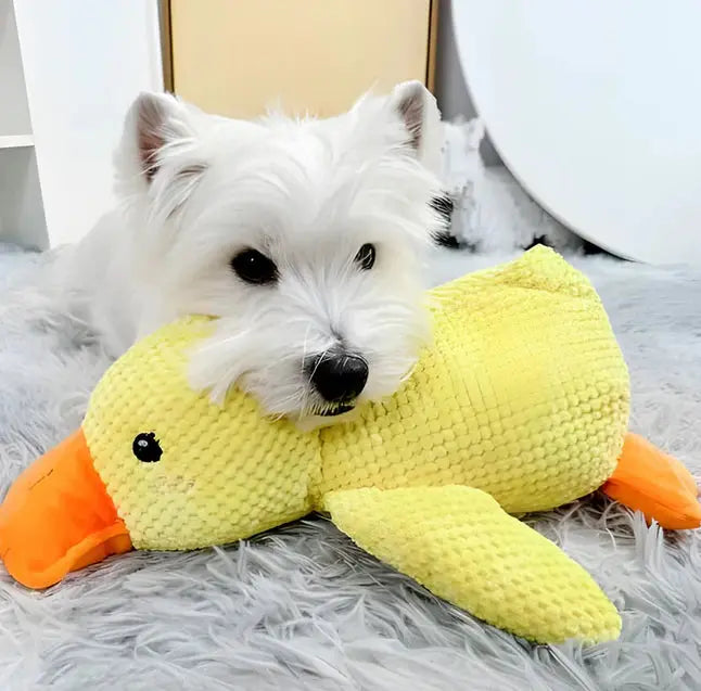 Anti-Stress Ente Plüsch Beruhigend und angstlösend