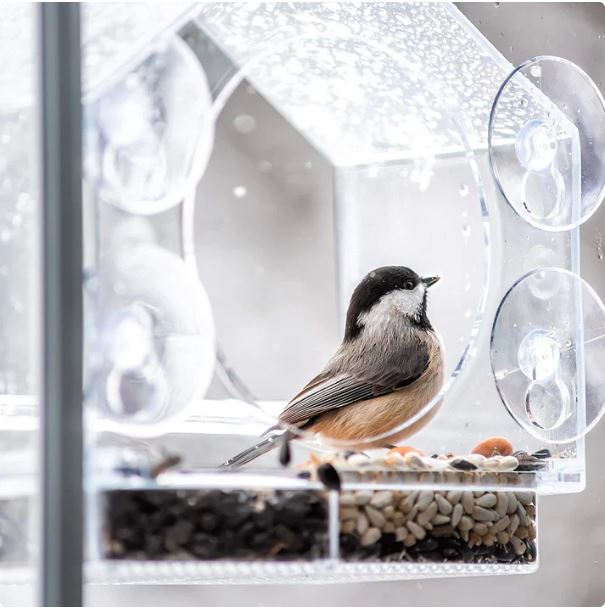 Fenster-Vogelhaus-Futterstation™ Genießen Sie die Natur hautnah!