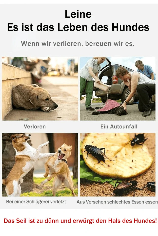 Verstellbares Hundegeschirr™ Atmungsaktive Leine ohne Zug