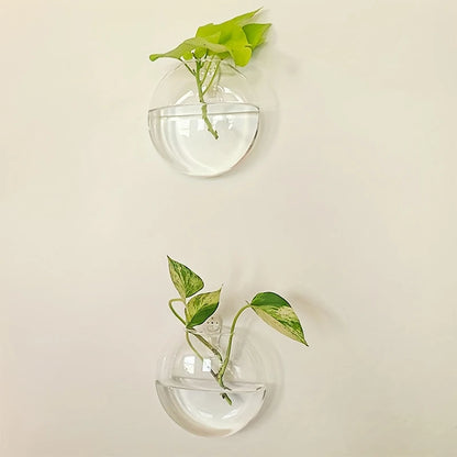 Transparente Wandvase™ Handgefertigter Glasbehälter