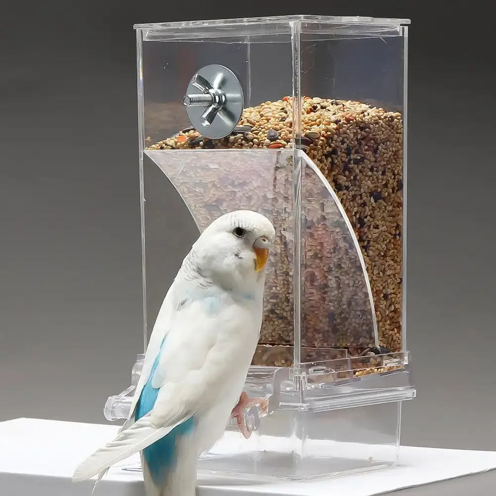 Automatisches Vogelfutterhaus™ Unkomplizierte Vogelfütterung