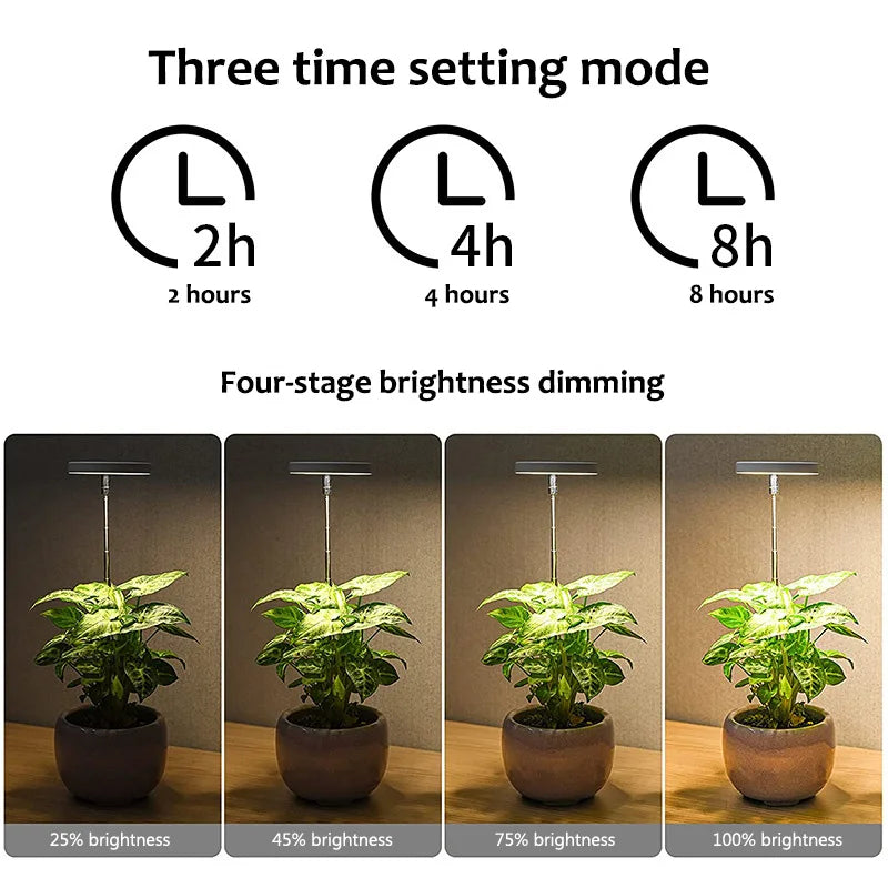 Engelsring Pflanzenleuchte™ Versenkbares simuliertes Sonnenlicht