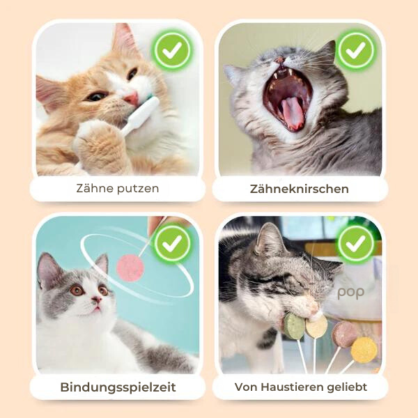 Lollipop-Katzenleckerlis™ Wenn Sie sie lieben, behandeln Sie sie!