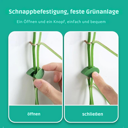 Vine Wandhalterung™ Kletterpflanzen-Halterung